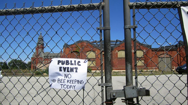 No beekeeping? Alas! (There was actually a performance of The Three Musketeers over the weekend, which might have been charming, for all we knew.)