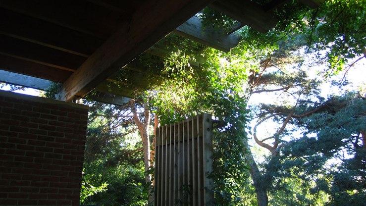 There's a Sensory Garden, where you're encouraged to enjoy the feel of the plants, the smell of the air, and, to great effect, the quiet spaces they create.