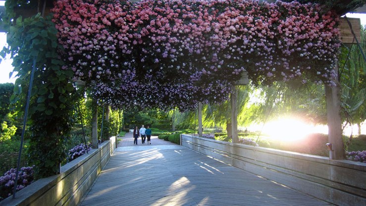 What you see when you leave. And, of course, when you return.