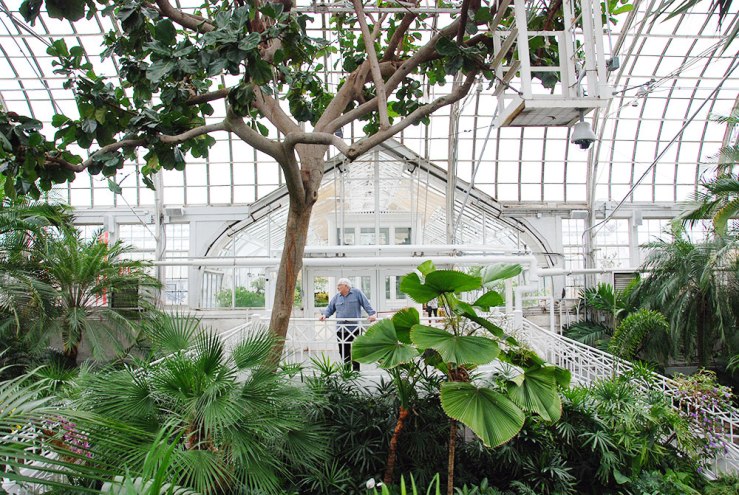 Dad in the Palm House. Yesss, stealth candid #1!