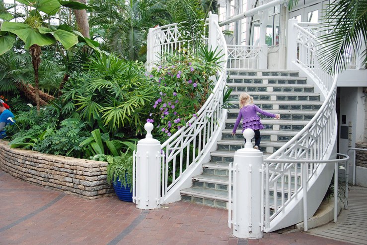 I love that this little girl matches the flowers next to her. There were a bunch of very cute little kids there that day.