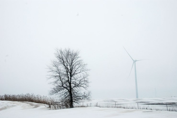 Whenever I visit friends in Indianapolis, it's always useful to tell them when we've hit the windfarm, which is massive -- it takes twenty minutes, maybe, to pass through the whole things -- and about an hour out from the city.